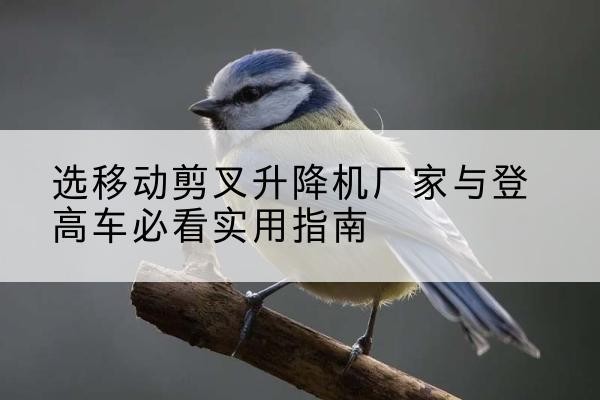 凤山电动升降机厂家-选移动剪叉升降机厂家与登高车必看实用指南