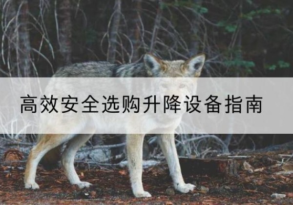 凤山升降货梯厂家推荐-*安全选购升降设备指南