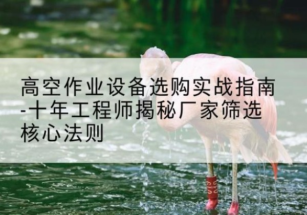 凤山剪叉式升降机厂家-高空作业设备选购实战指南-十年工程师揭秘厂家筛选核心法则